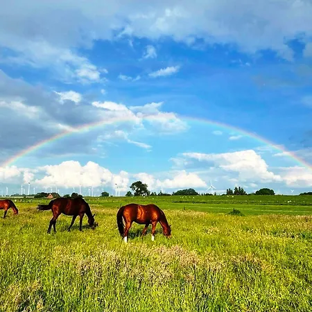 مزرعة للإقامة Reimers