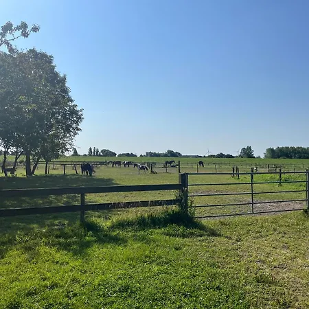 Reimers Farm stay