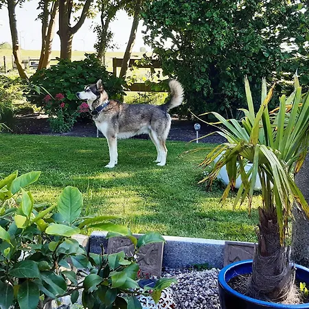 Reimers * Wesselburenerkoog