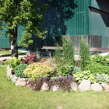 Reimers مزرعة للإقامة Wesselburenerkoog