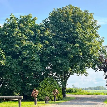 Reimers مزرعة للإقامة *