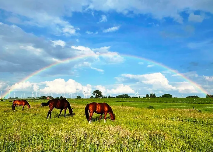 Фермерский дом Reimers